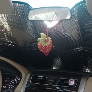 Meet your Posher, Kaitland